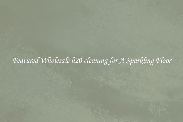 Featured Wholesale h20 cleaning for A Sparkling Floor