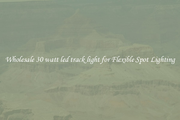 Wholesale 30 watt led track light for Flexible Spot Lighting