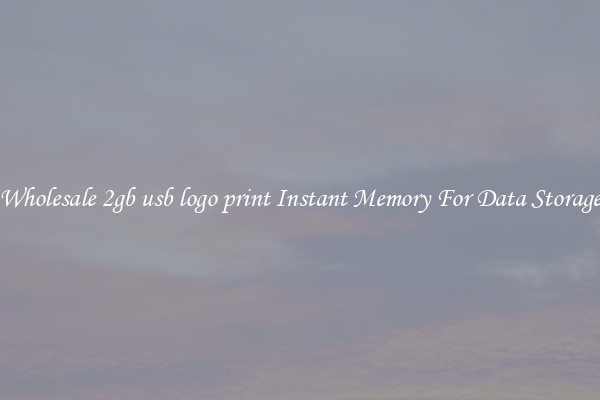 Wholesale 2gb usb logo print Instant Memory For Data Storage