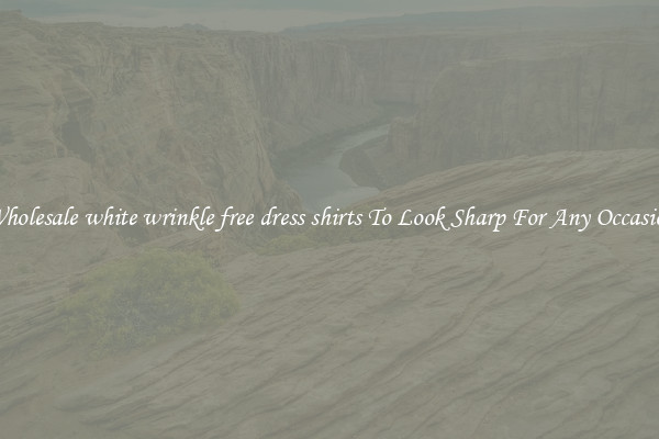 Wholesale white wrinkle free dress shirts To Look Sharp For Any Occasion