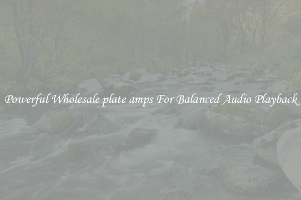 Powerful Wholesale plate amps For Balanced Audio Playback
