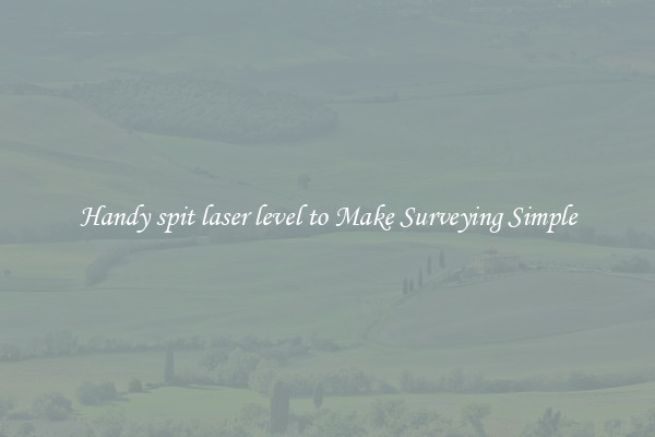 Handy spit laser level to Make Surveying Simple