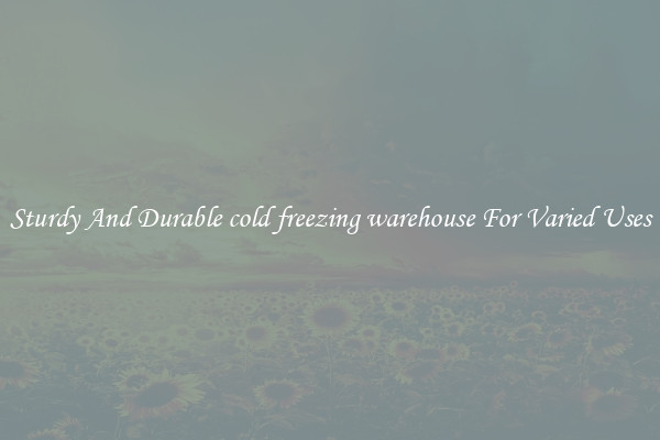 Sturdy And Durable cold freezing warehouse For Varied Uses