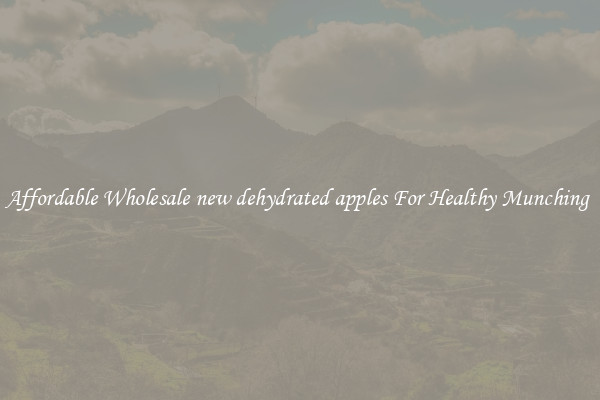 Affordable Wholesale new dehydrated apples For Healthy Munching 