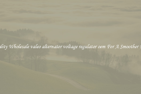 Quality Wholesale valeo alternator voltage regulator oem For A Smoother Ride