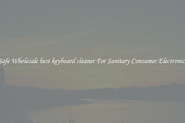 Safe Wholesale best keyboard cleaner For Sanitary Consumer Electronics