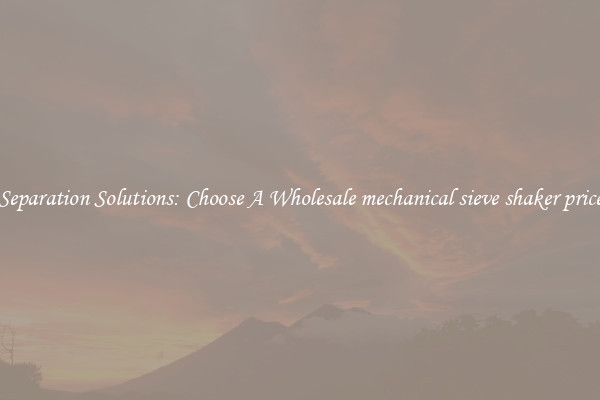 Separation Solutions: Choose A Wholesale mechanical sieve shaker price