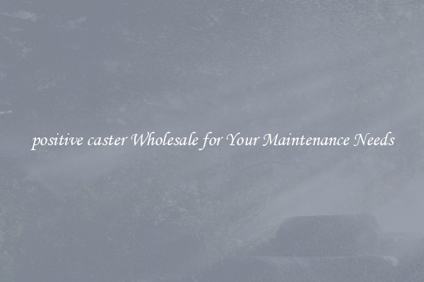positive caster Wholesale for Your Maintenance Needs