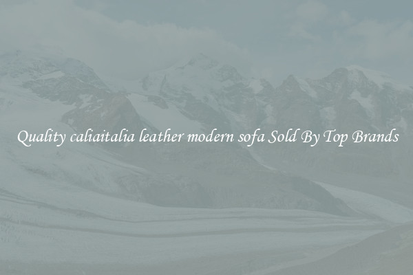 Quality caliaitalia leather modern sofa Sold By Top Brands
