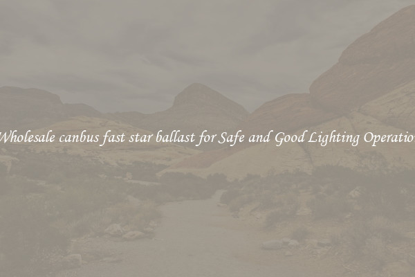 Wholesale canbus fast star ballast for Safe and Good Lighting Operation