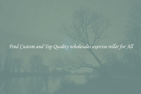 Find Custom and Top Quality wholesales exercise roller for All