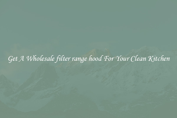 Get A Wholesale filter range hood For Your Clean Kitchen