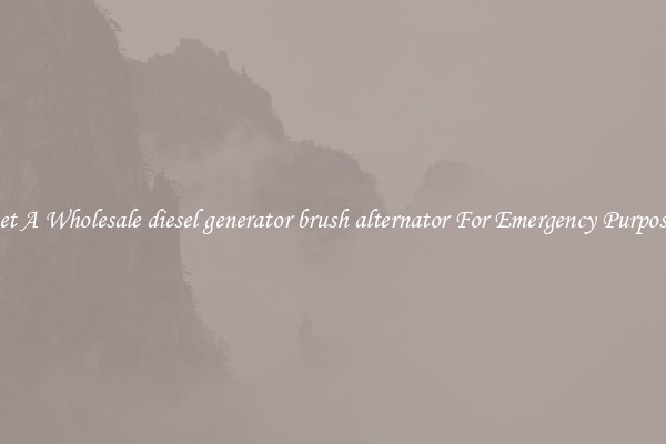 Get A Wholesale diesel generator brush alternator For Emergency Purposes