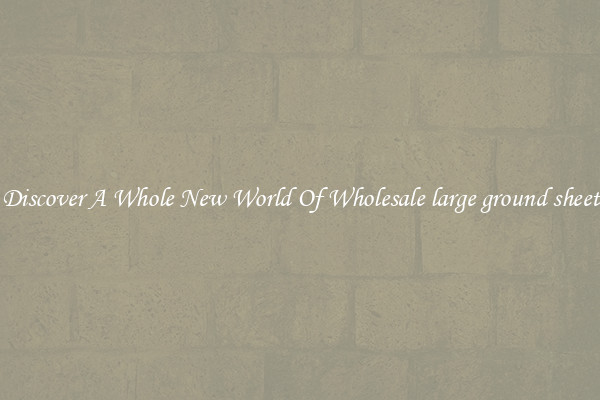 Discover A Whole New World Of Wholesale large ground sheet