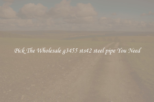 Pick The Wholesale g3455 sts42 steel pipe You Need